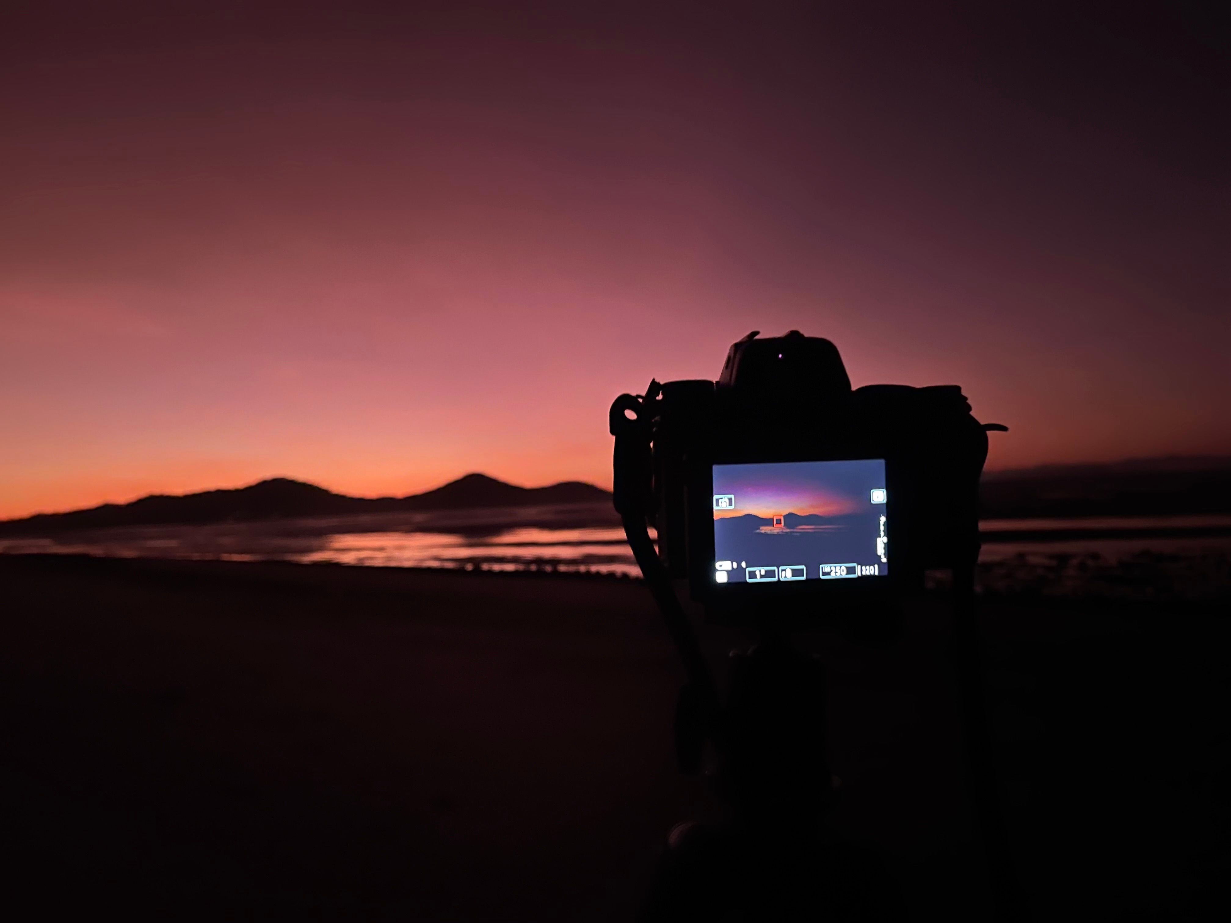 A photographer's camera on a tripod, viewed from behind, capturing a pink and orange sunset over the water at Cape Hillsborough.