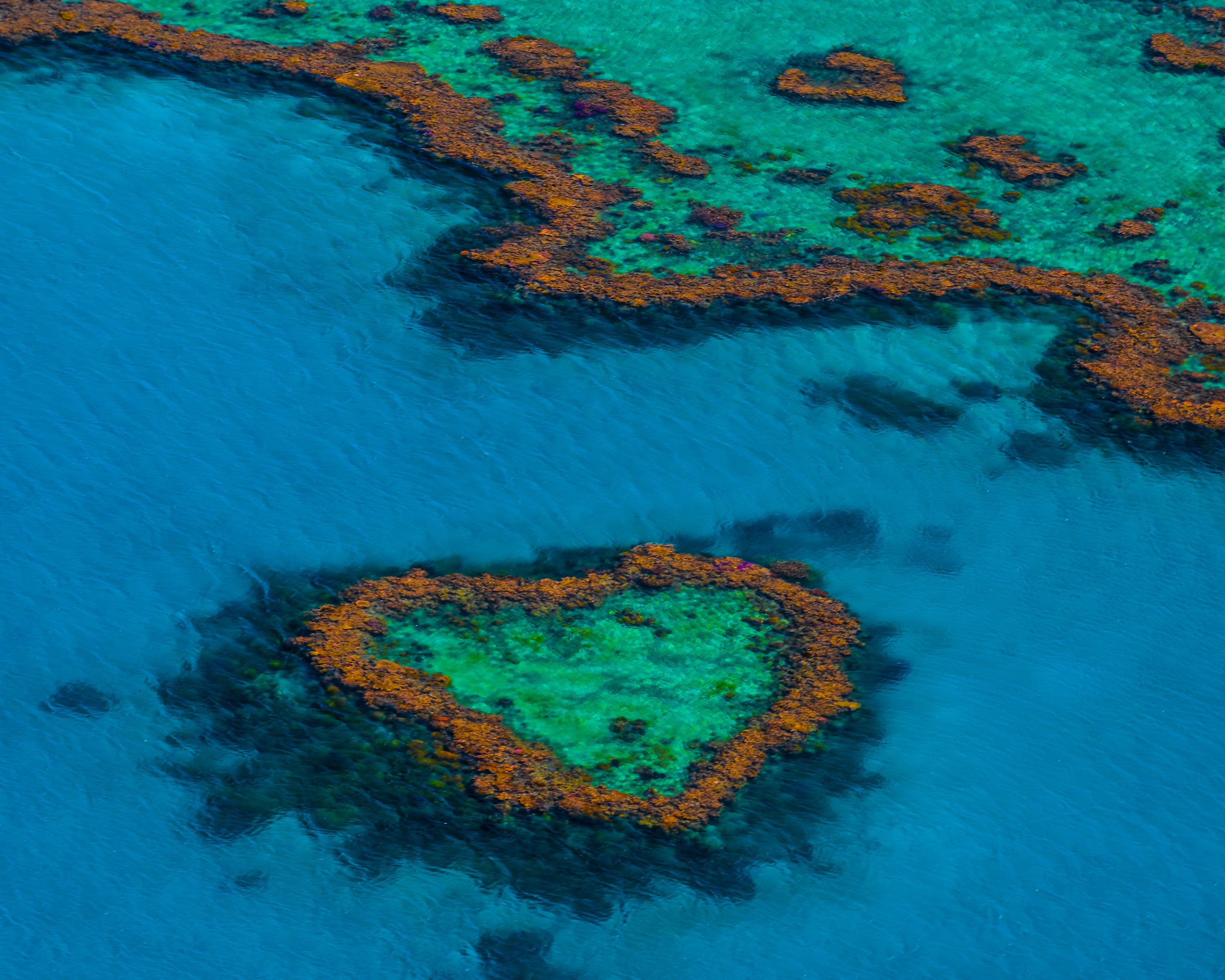 Aerial view of a heart-shaped coral formation in shallow turquoise reef water.