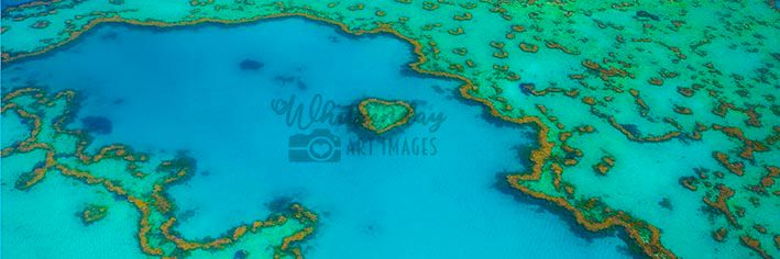A wide aerial panorama of the Great Barrier Reef showing a heart-shaped coral formation among reef channels.
