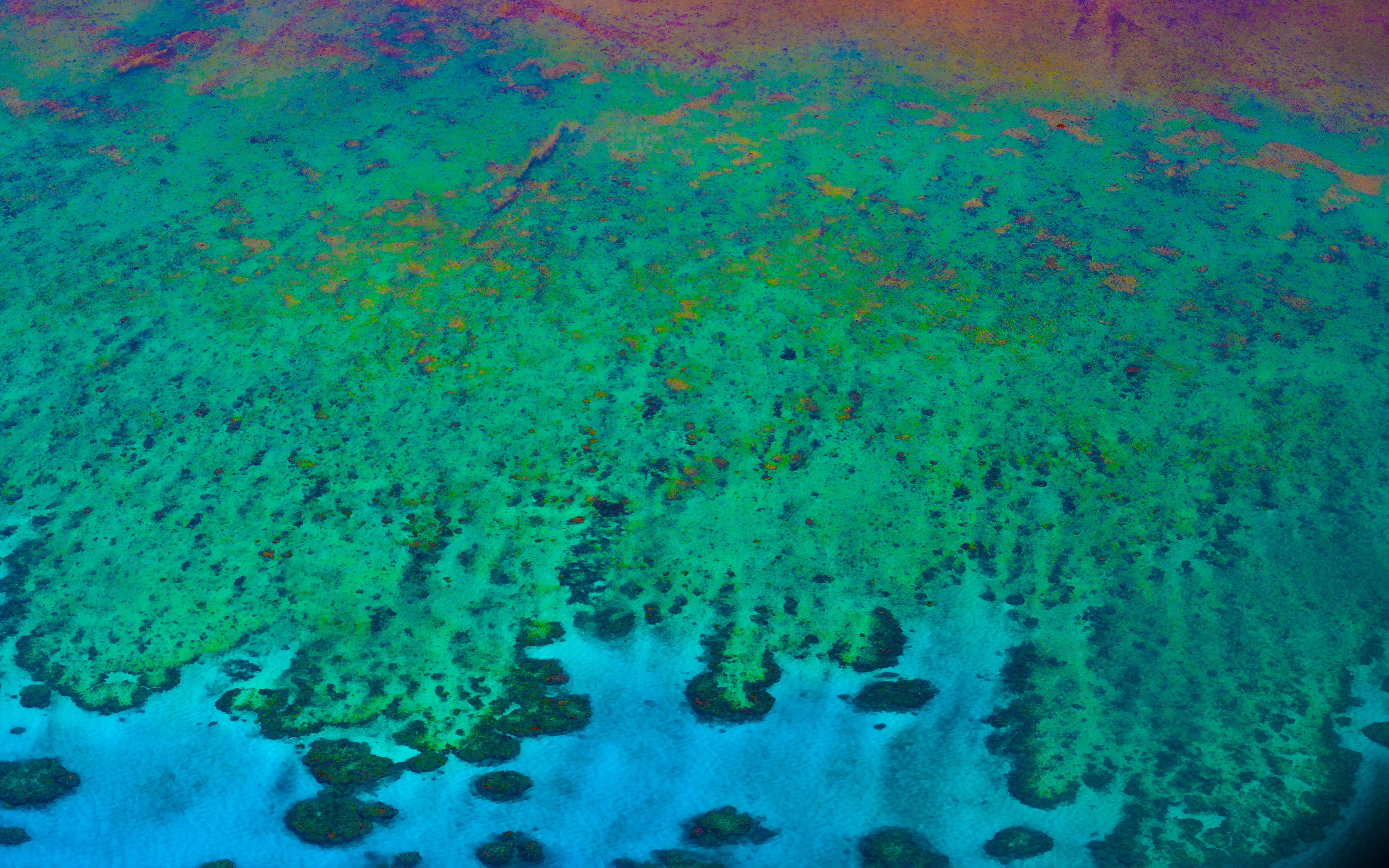 An aerial abstract view of reef and coral in warm gold, magenta and teal tones.
