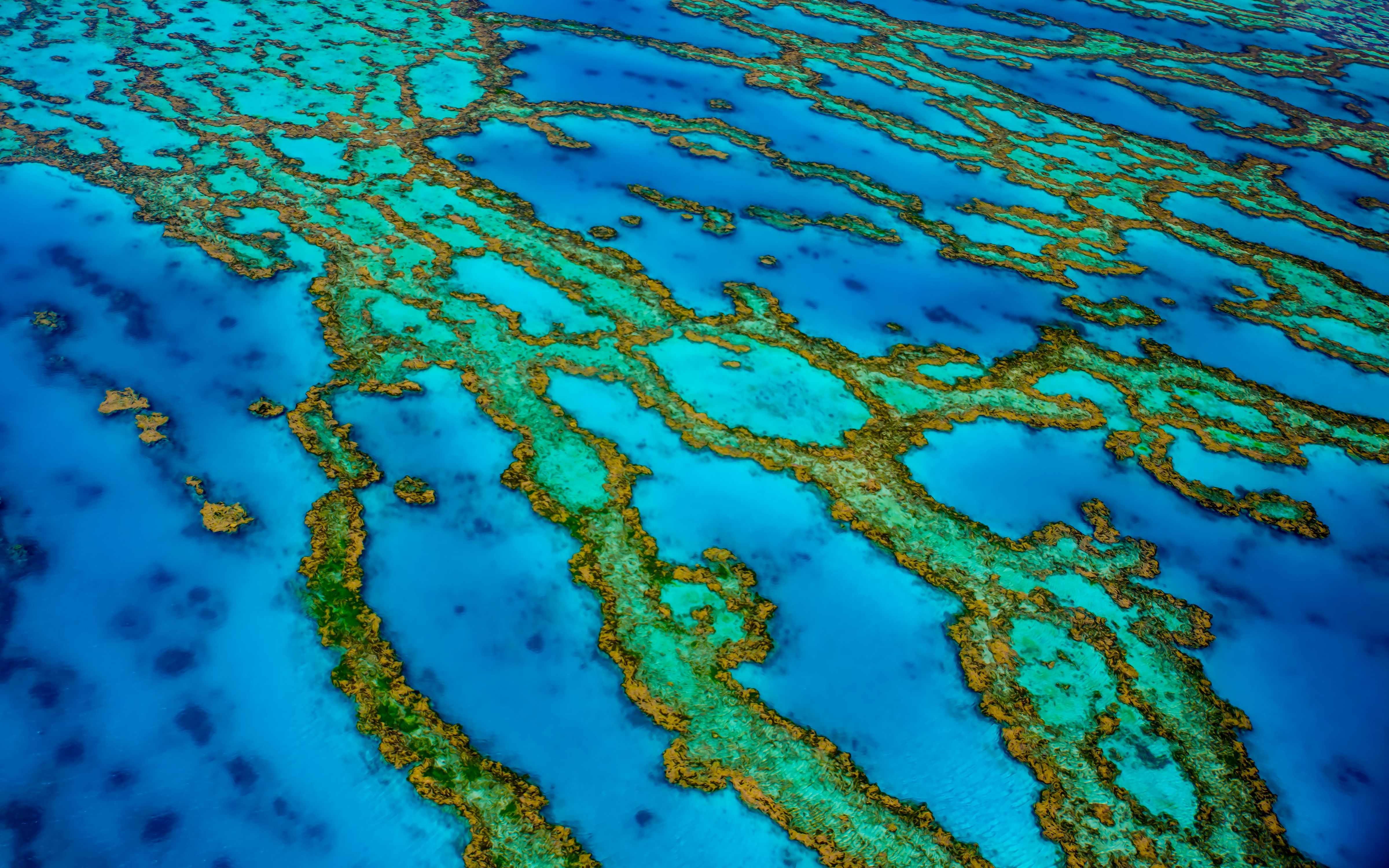 Aerial view of winding coral reef channels in turquoise and gold against deep blue water.