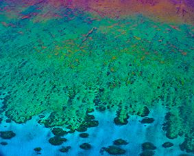 An aerial abstract of coral formations in turquoise, green and gold tones on the Great Barrier Reef.