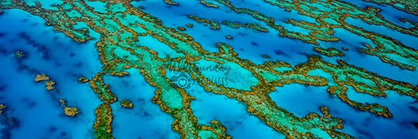 A wide aerial panorama of Great Barrier Reef coral channels in turquoise, teal and gold.