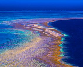 An aerial abstract of golden reef edge dissolving into deep blue ocean.