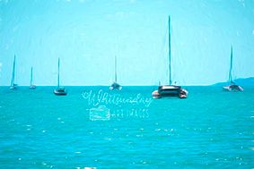 Several yachts anchored in shallow turquoise water off a white sand beach.